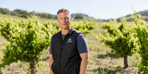 agriculture, people in nature, vineyard, plantation, grapevines