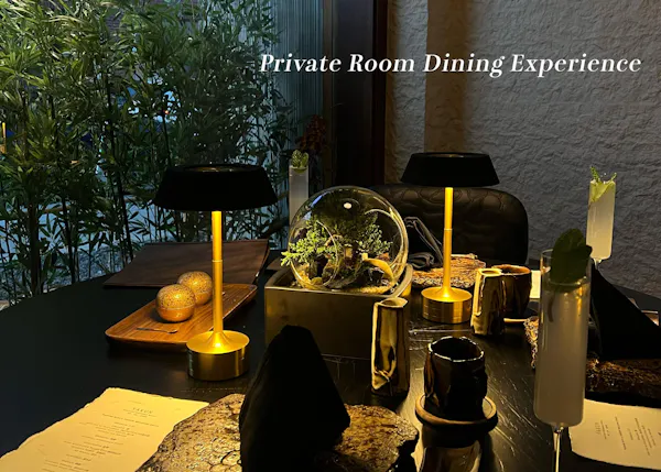 lighting, furniture, lampshade, lamp, light fixture, houseplant