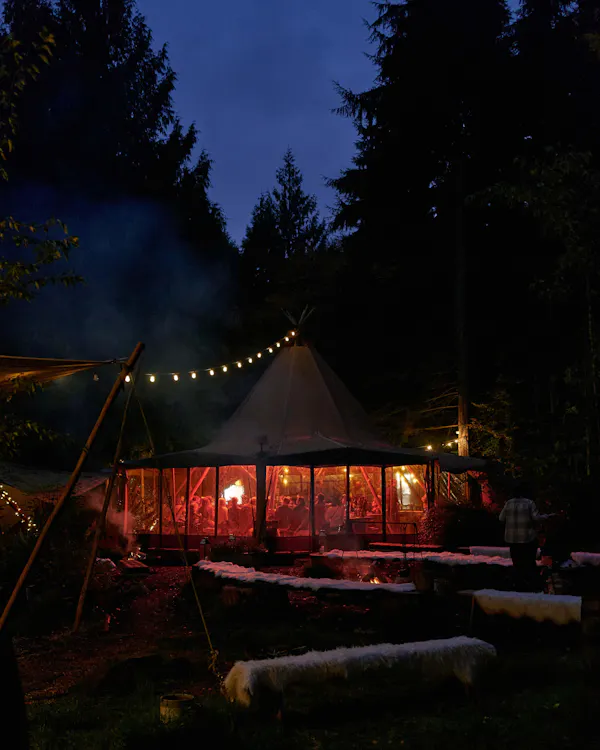 plant, atmosphere, sky, nature, tent, lighting