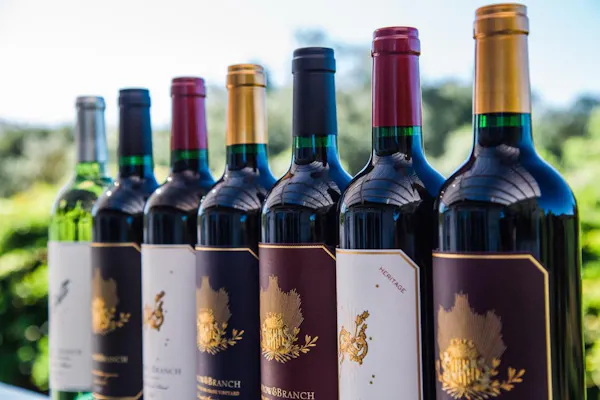 bottle, alcoholic drink, alcohol, glass bottle, wine bottle, wine