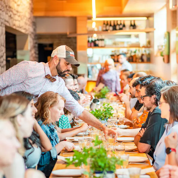 table, tableware, plant, interaction, leisure, customer