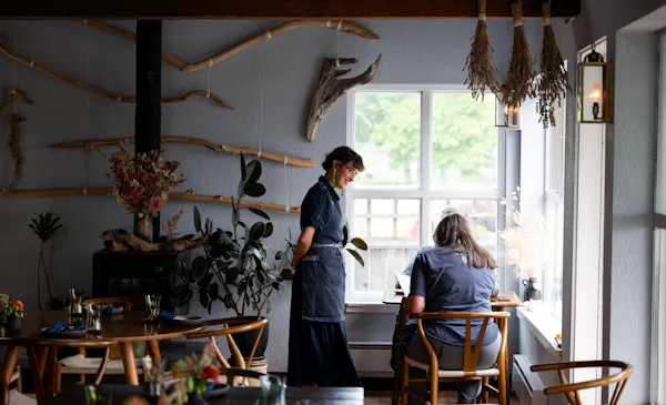 plant, window, table, chair, houseplant, flowerpot
