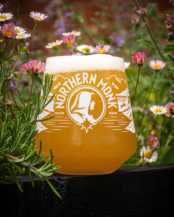 beer, alcoholic drink, drinkware, beer glassware, liquid, alcohol