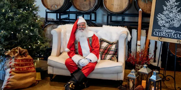 santa claus, beard, facial hair, christmas day, fictional character, event