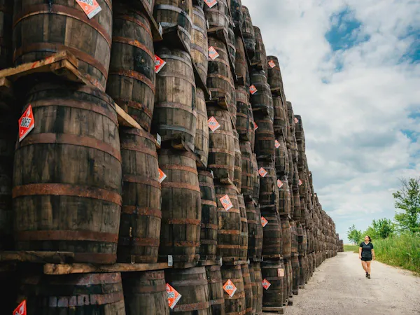 barrel, winery, keg