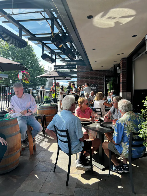 furniture, chair, restaurant, outdoor table, houseplant, shade