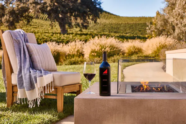 furniture, outdoor furniture, wine, alcoholic drink, chair, garden