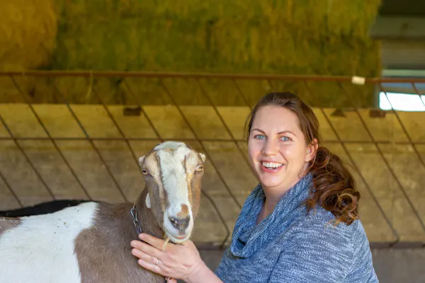 smile, happy, goat, fawn, working animal, long hair