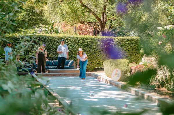 shrub, garden, leisure, recreation, spring, vacation