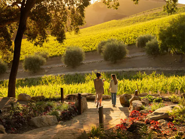 people in nature, spring, garden, leisure, vacation, walking