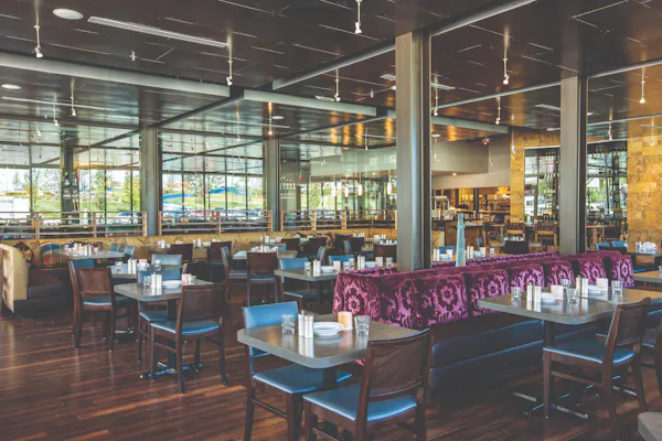 restaurant, chair, cafeteria