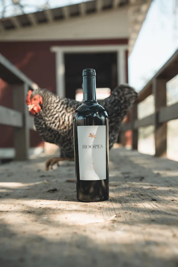wine bottle, bird, glass bottle, bottle, wine, alcohol