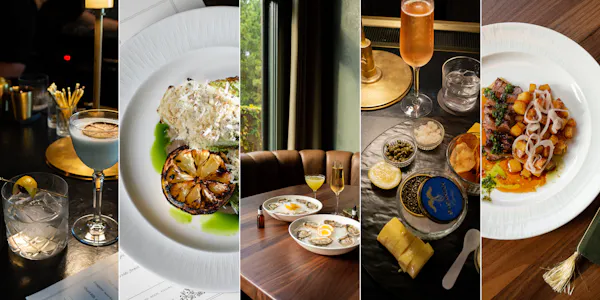tableware, serveware, dishware, food, drinkware, table