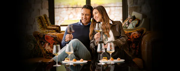 tableware, drinkware, stemware, alcoholic drink, wine glass, barware