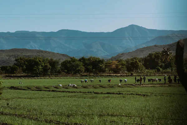 mountainous landforms, mountain, hill, highland, grassland, agriculture