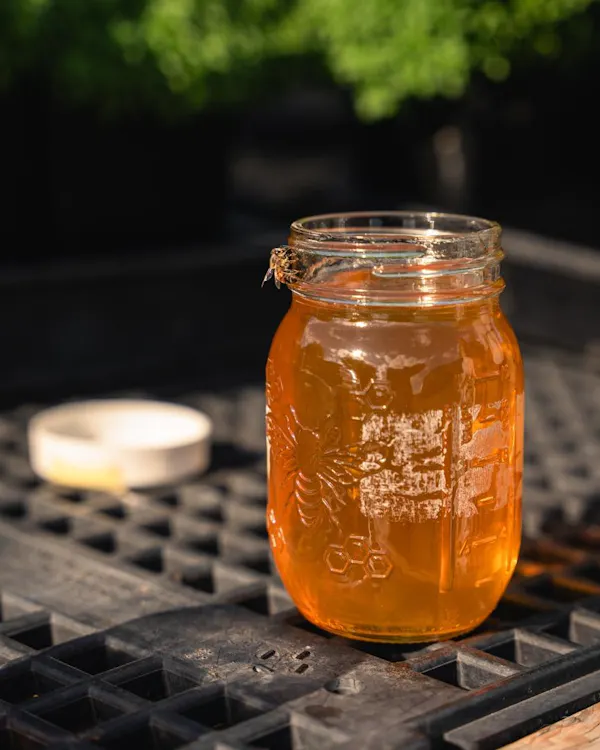 mason jar, fluid, ingredient, kombucha, food storage containers, food preservation