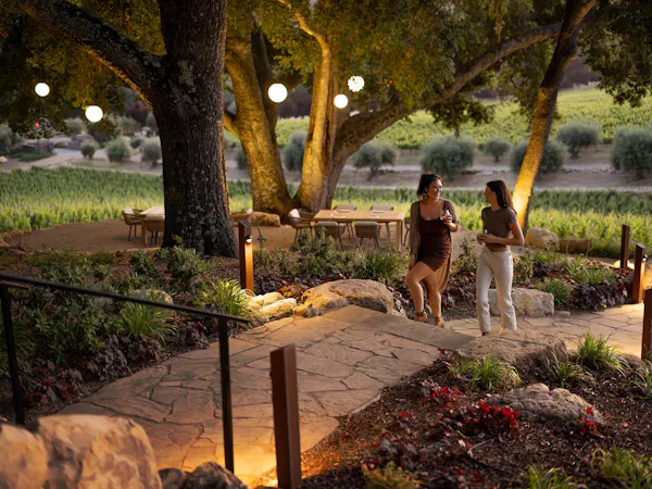 garden, trunk, spring, landscaping, shade, landscape lighting