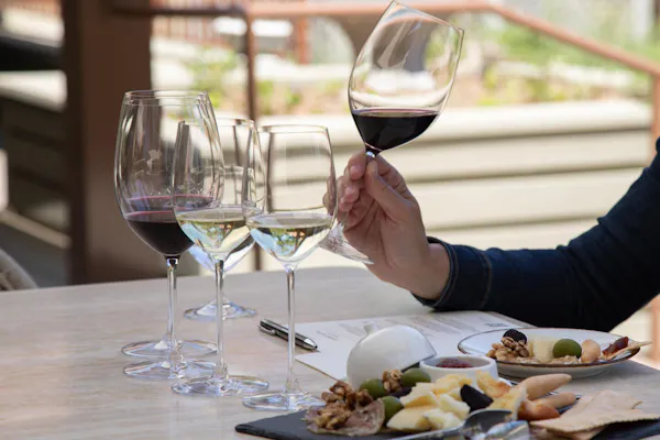 stemware, tableware, drinkware, wine glass, barware, serveware