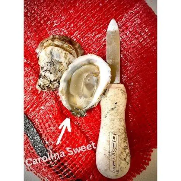 blade, oyster
