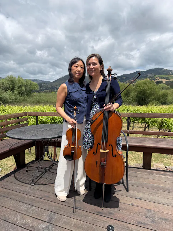 violin family, chordophone, string instrument, bowed string instrument, cello, musical instrument