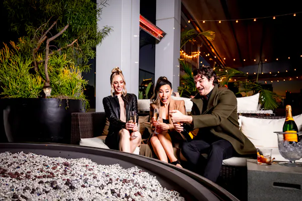 fun, leisure, party, houseplant
