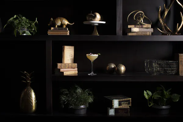 plant, black, flowerpot, shelving, houseplant, grey