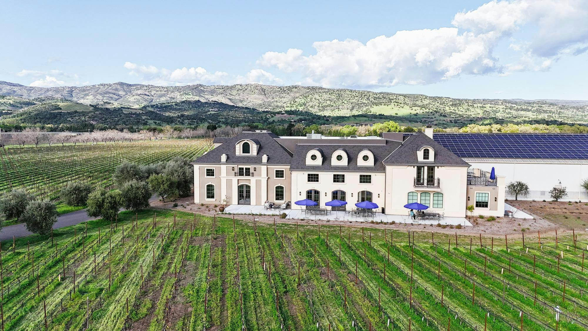 Materra | Cunat Family Vineyards