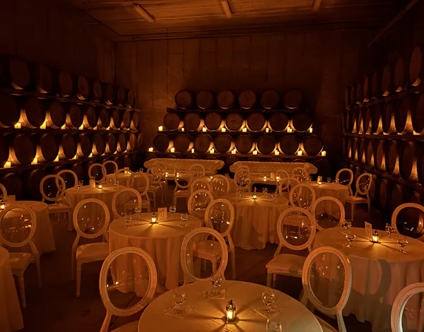 lighting, wine cellar, barrel, winery, light fixture, restaurant