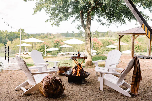 furniture, outdoor furniture, chair, outdoor table, garden, shade