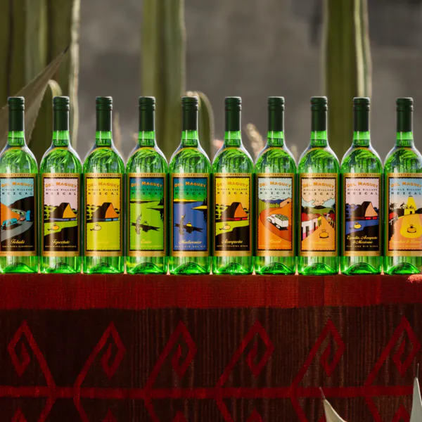 bottle, alcoholic drink, glass bottle, alcohol, liquor, wine