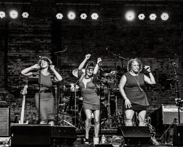 audio equipment, performing arts, entertainment, performance, dress, stage