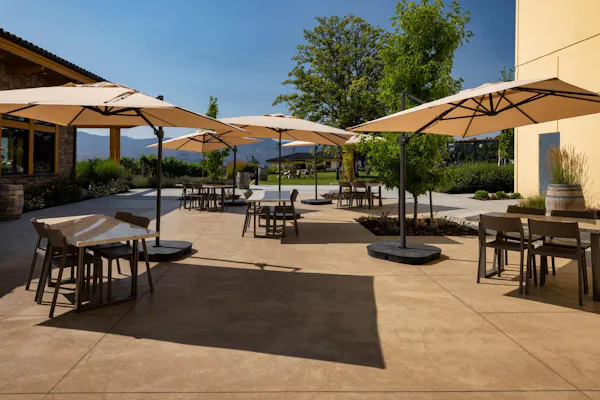table, furniture, sky, plant, chair, tree