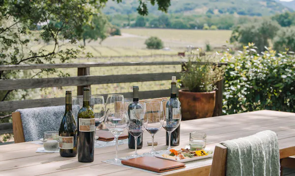 furniture, table, outdoor furniture, tableware, outdoor table, drinkware