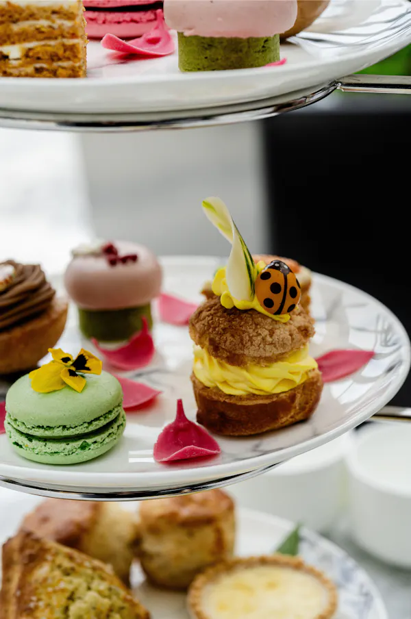 food, cake, ingredient, tableware, dessert, finger food
