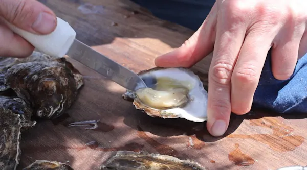 hand, wood, oyster, finger, seafood, dish