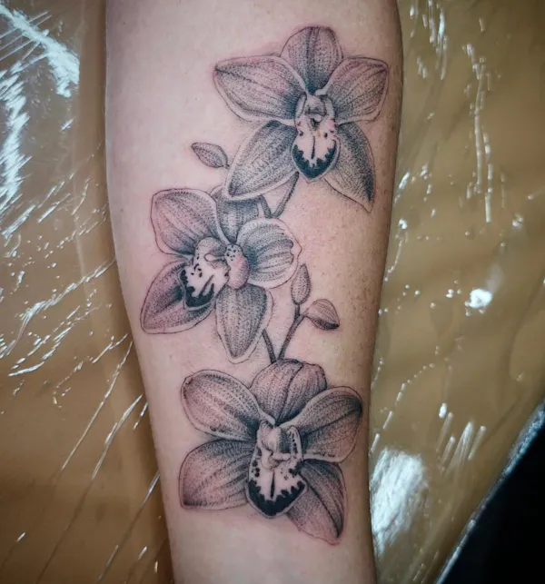 joint, skin, hand, arm, flower, leg