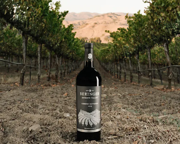 vineyard, grapevines