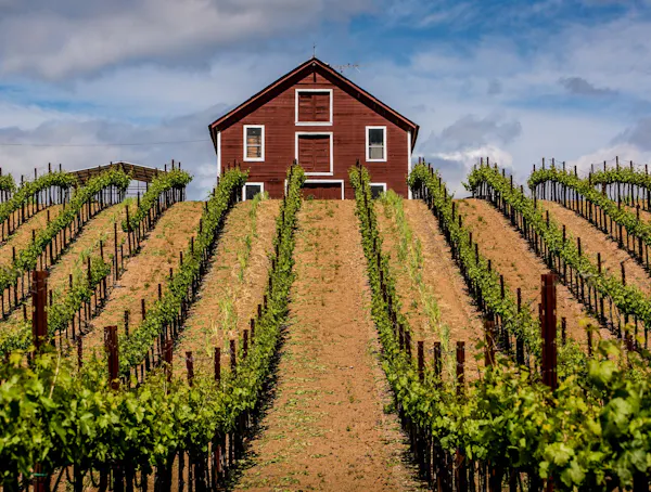 agriculture, house, plantation, rural area, field, land lot