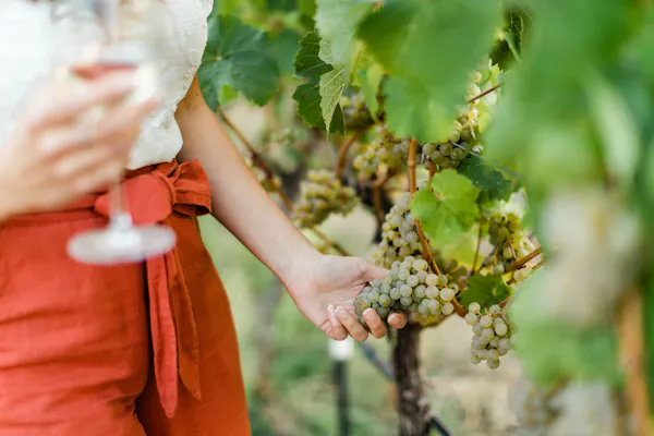 summer, fruit, agriculture, produce, seedless fruit, people in nature