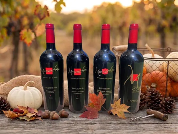 bottle, red, alcoholic drink, wine bottle, glass bottle, wine