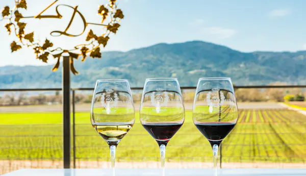 tableware, sky, stemware, drinkware, wine glass, liquid