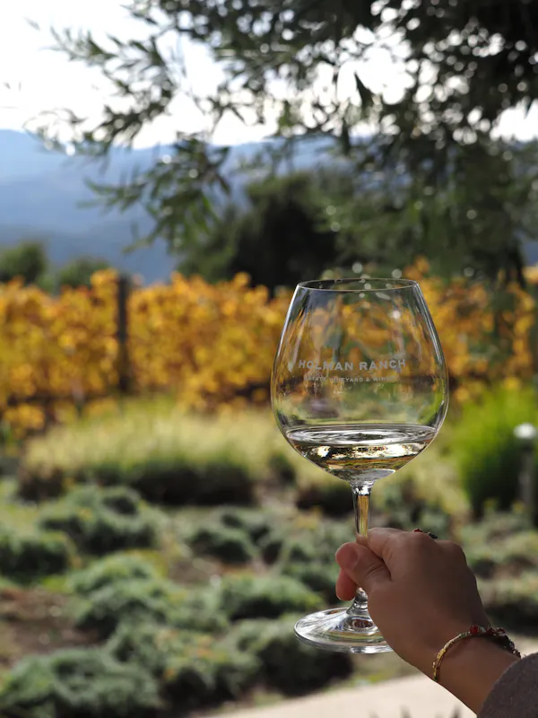 stemware, tableware, drinkware, wine glass, barware, alcoholic drink