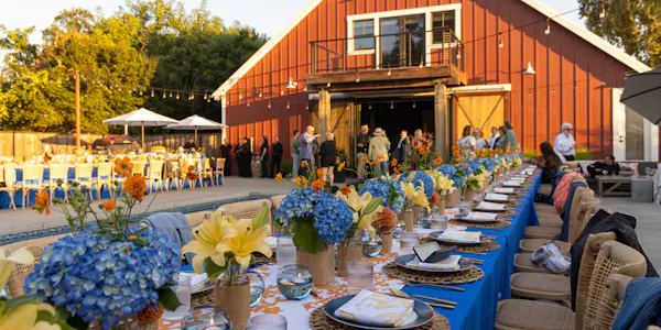 furniture, chair, tablecloth, leisure, party, crowd