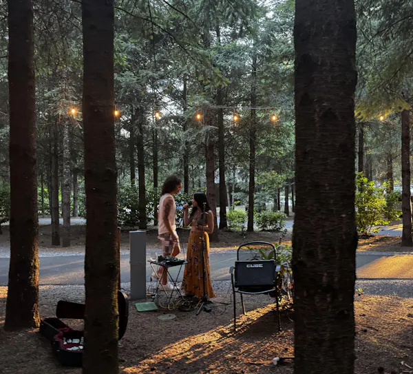 plant, furniture, people in nature, shade, branch, tree