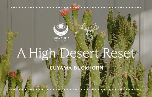 thorns, spines, and prickles, cactus, caryophyllales, prickly pear