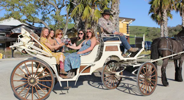 wheel, carriage, cart, wagon, spoke, horse and buggy