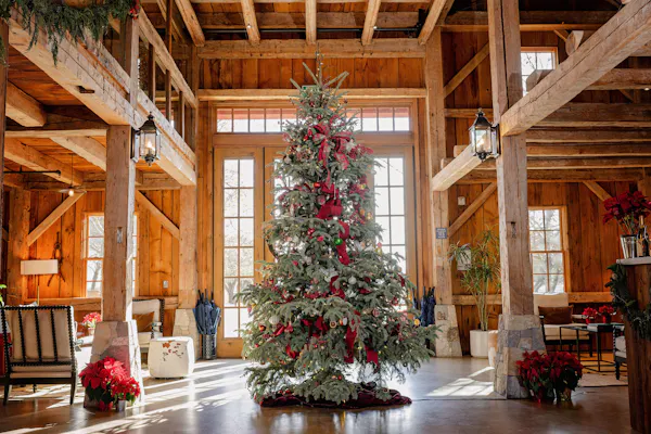 christmas decoration, christmas day, wood, home, christmas tree, christmas ornament