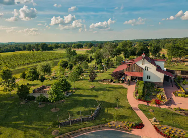 plant, property, landscape, garden, land lot, real estate