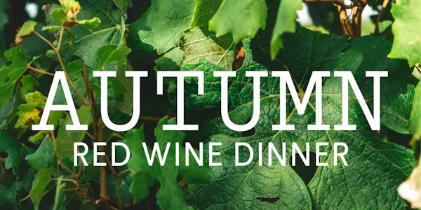 red, alcoholic drink, wine, alcohol, food, bottle
