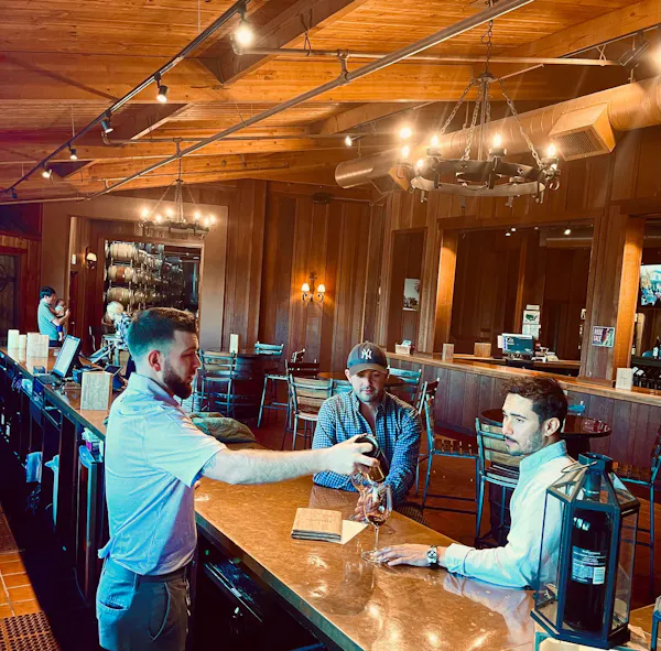 wood, furniture, lighting, restaurant, bar, chair